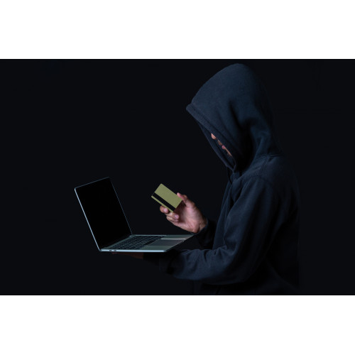 Fraud Detection AI Agent